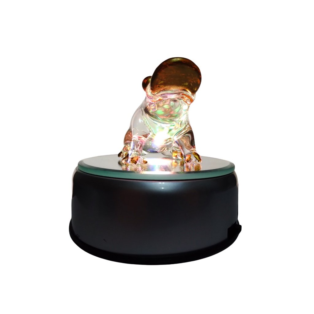 Liman Glass Money Frog Feng Shui Lucky Charm for Business with Rotating Base - Image 7