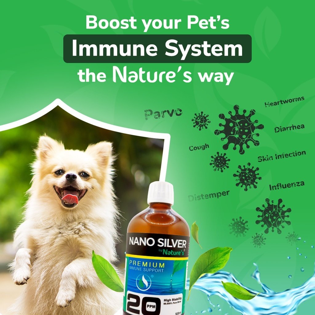 Nano Silver by Nature’s Premium Immune Support - 500mL / 250mL - Pet Care - Image 4